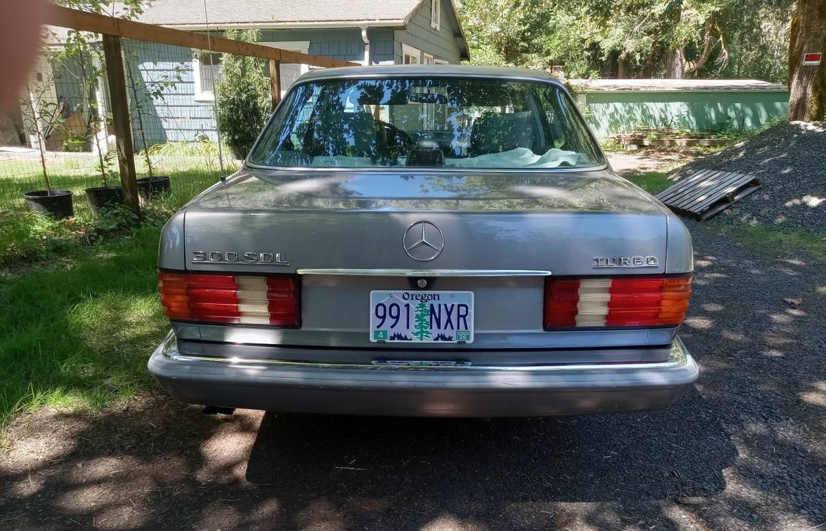 Mercedes-benz-300-sdl-diesel-1987-silver-10