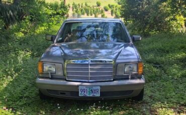 Mercedes-benz-300-sdl-diesel-1987-silver-3