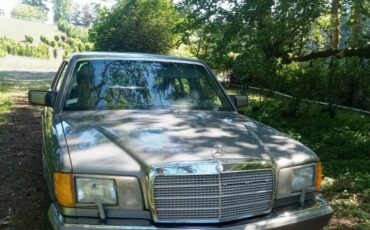 Mercedes-benz-300-sdl-diesel-1987-silver-4