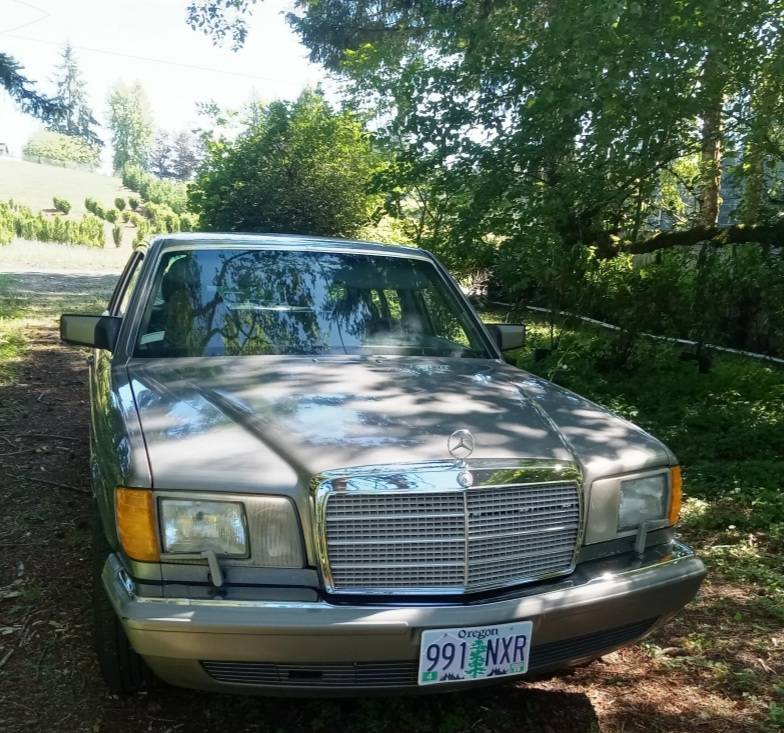 Mercedes-benz-300-sdl-diesel-1987-silver-4