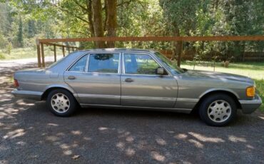 Mercedes-benz-300-sdl-diesel-1987-silver-6