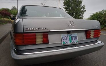 Mercedes-benz-300-sdl-diesel-1987-silver-8