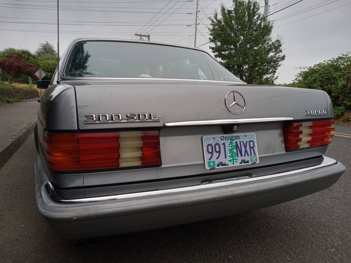 Mercedes-benz-300-sdl-diesel-1987-silver-8