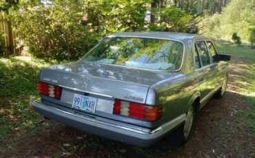 Mercedes-benz-300-sdl-diesel-1987-silver-9