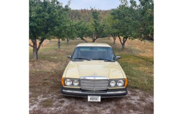 Mercedes-benz-300d-1977-Manilla-Beige-Tan-1