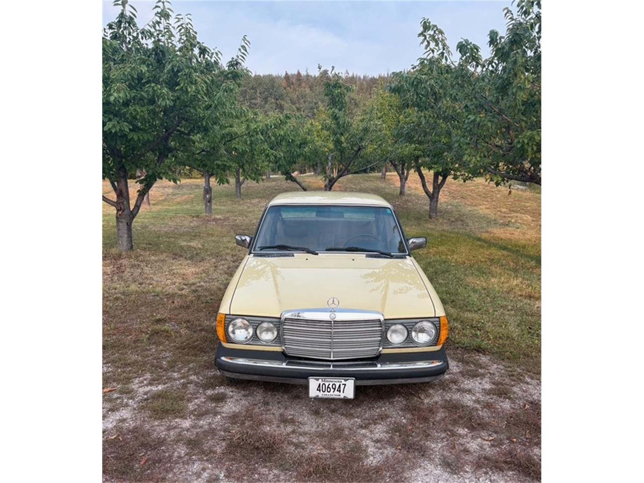 Mercedes-benz-300d-1977-Manilla-Beige-Tan-1