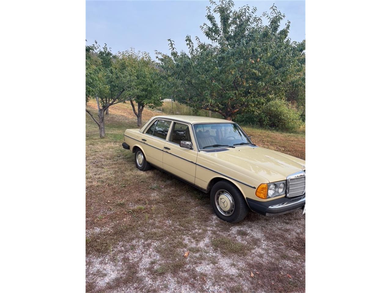 Mercedes-benz-300d-1977-Manilla-Beige-Tan-2