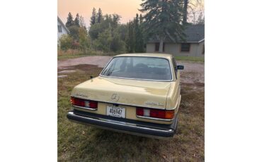 Mercedes-benz-300d-1977-Manilla-Beige-Tan-3