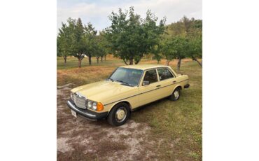 Mercedes-benz-300d-1977-Manilla-Beige-Tan