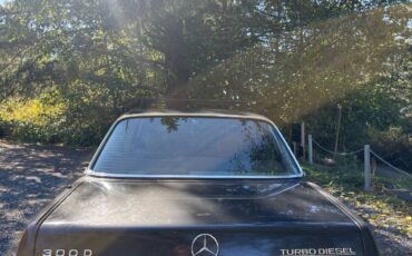 Mercedes-benz-300d-turbo-diesel-1985-grey-10