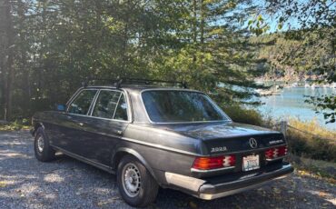 Mercedes-benz-300d-turbo-diesel-1985-grey-17