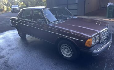 Mercedes-benz-300d-turbodiesel-1982-brown-1