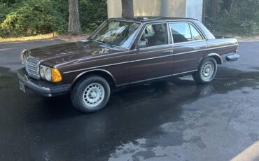 Mercedes-benz-300d-turbodiesel-1982-brown-2