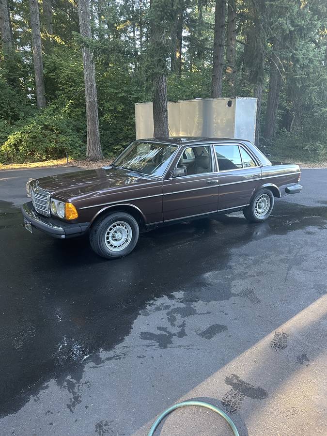 Mercedes-benz-300d-turbodiesel-1982-brown-2
