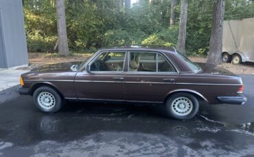 Mercedes-benz-300d-turbodiesel-1982-brown