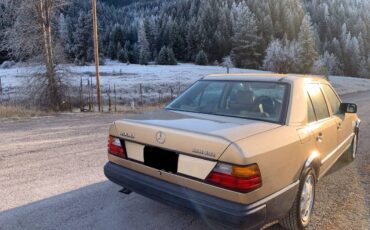Mercedes-benz-300dt-diesel-1987-5