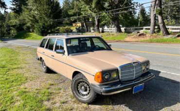 Mercedes-benz-300td-wagon-diesel-1983-18