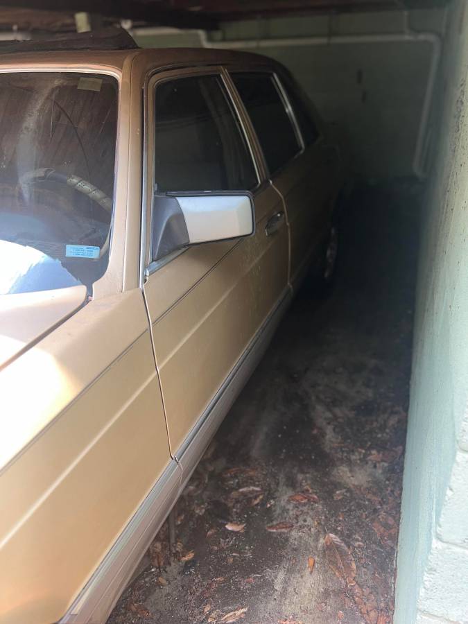 Mercedes-benz-420e-1987-brown