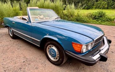 Mercedes-benz-450sl-1974-blue-10