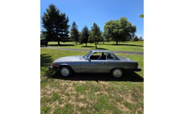 Mercedes-benz-560sl-1988-Gray-Royal-Blue-6