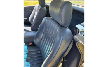 Mercedes-benz-560sl-1988-Gray-Royal-Blue-9