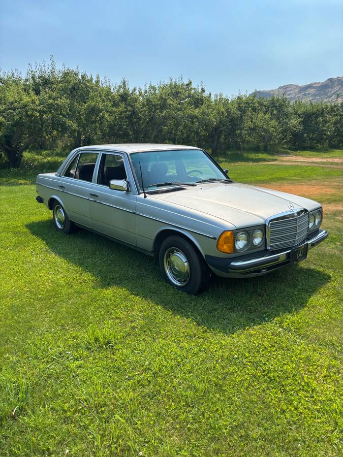 Mercedes-benz-c-300-sedan-diesel-1983-silver-2