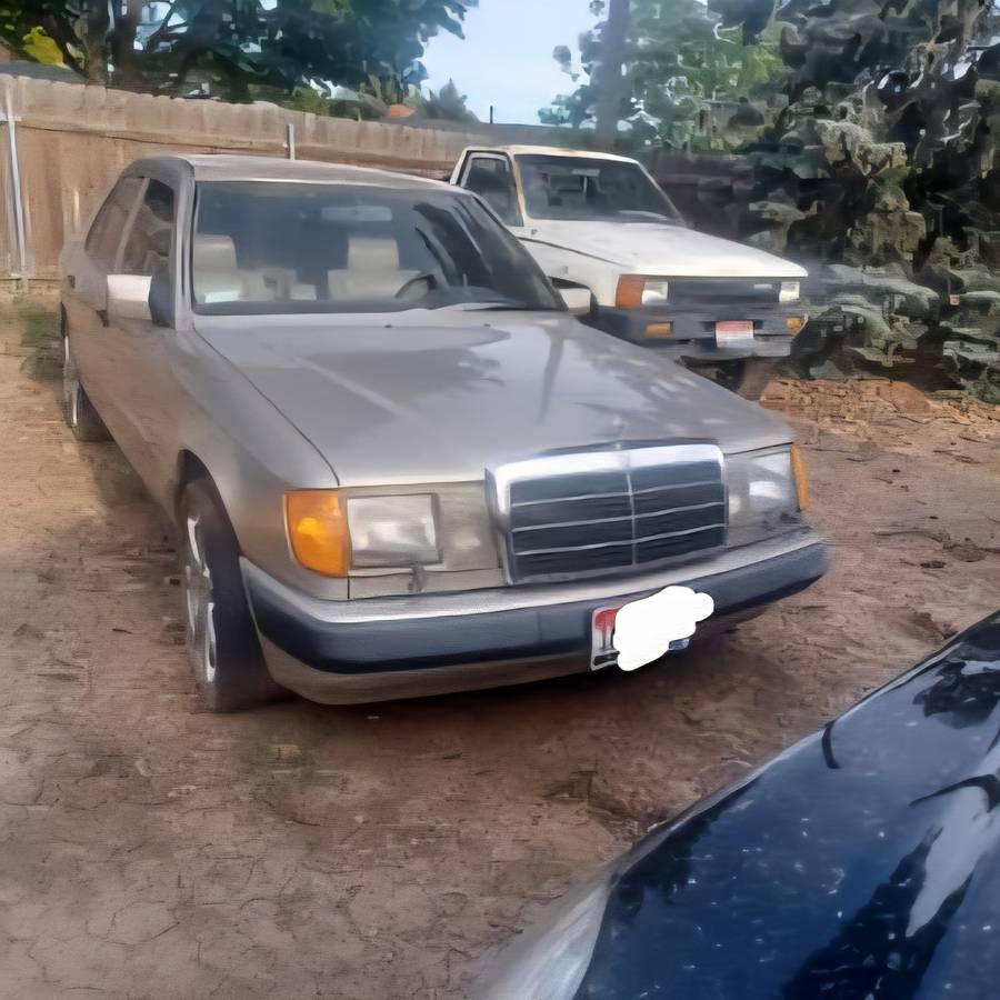 Mercedes-benz-c300-1991-2