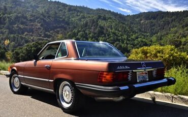 Mercedes-benz-s-class-1978-brown-1