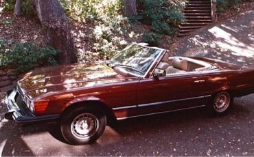 Mercedes-benz-s-class-1978-brown-2