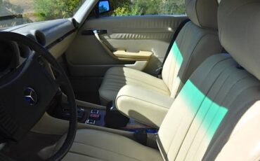 Mercedes-benz-s-class-1978-brown-4