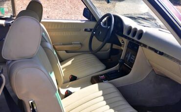 Mercedes-benz-s-class-1978-brown-5
