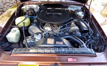 Mercedes-benz-s-class-1978-brown-8