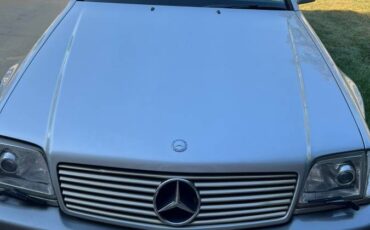Mercedes-benz-s-class-1995-silver