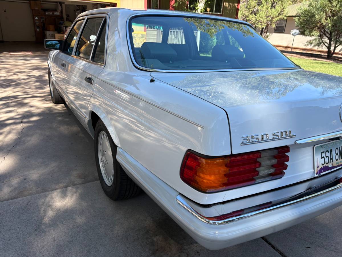 Mercedes-benz-sdl-350-turbo-onl-diesel-1990-white-22