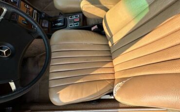 Mercedes-diesel-1981-10