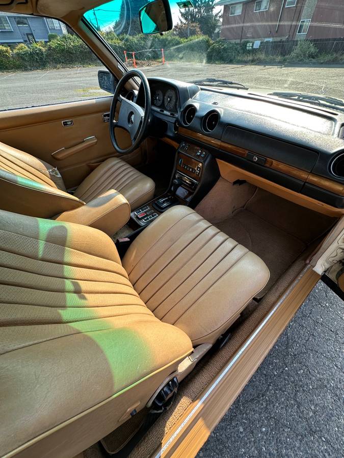 Mercedes-diesel-1981-12