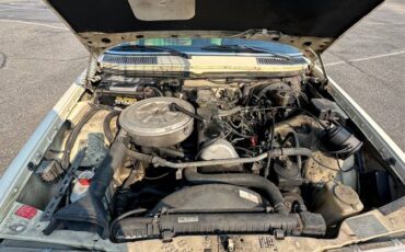 Mercedes-diesel-1981-6