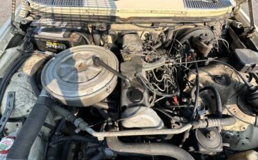 Mercedes-diesel-1981-7