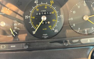 Mercedes-diesel-1981-9