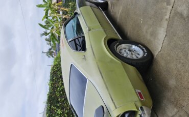 Mercury-Comet-1973-Green-Black-3
