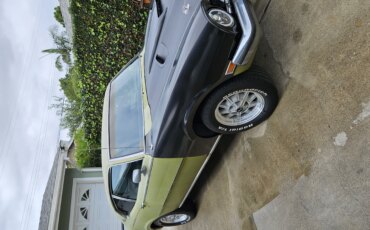 Mercury-Comet-1973-Green-Black-4