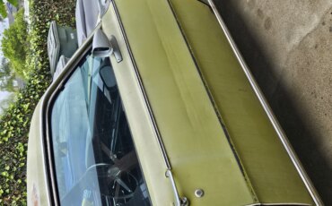 Mercury-Comet-1973-Green-Black-5