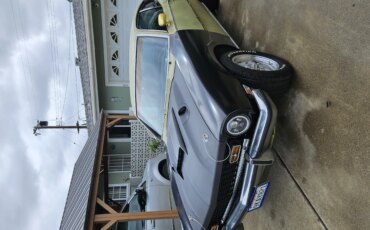 Mercury-Comet-1973-Green-Black-7