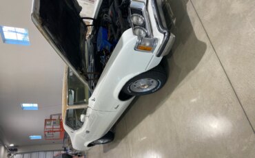Mercury-Cougar-xr7-coupe-1973-White-Green-3