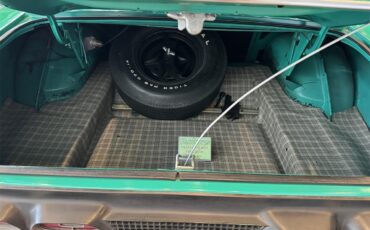 Mercury-Cyclone-spoiler-sjc-1970-COMPETITION-GREEN-BLACK-29