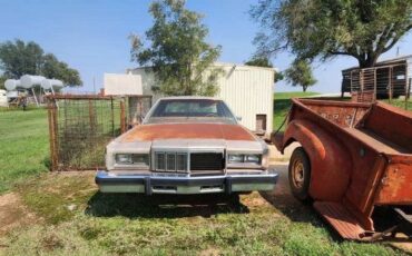 Mercury-Grand-Marquis-1981-1