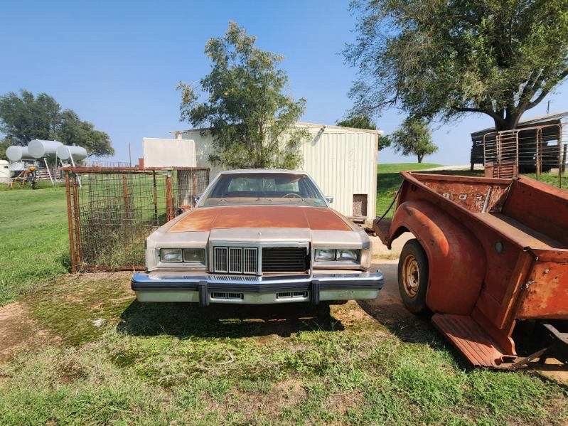 Mercury-Grand-Marquis-1981-1
