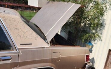 Mercury-Grand-Marquis-1981-3