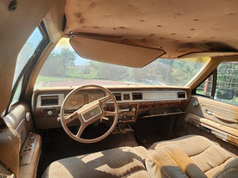 Mercury-Grand-Marquis-1981-4