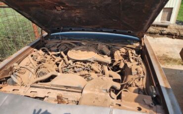 Mercury-Grand-Marquis-1981-8